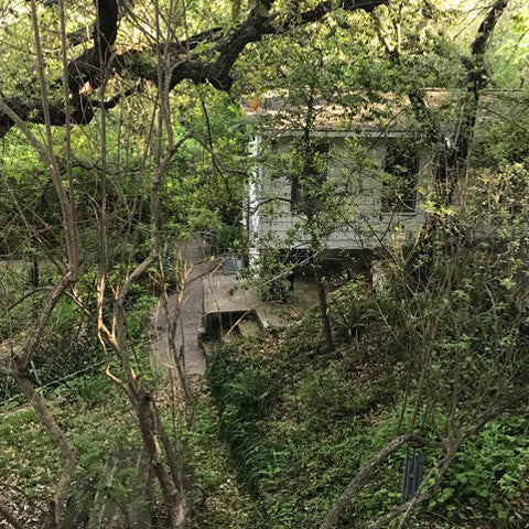 Keep Austin wild